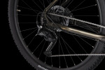 4EVER FRONTBEE XCM 29", rám 19" (L), model 2026, barva gold galaxy - ZDARMA dopravné, odborná montáž, seřízení, pojištění a dárkový poukaz na nákup příslušenství! (Záruka nejlepší ceny. Nalezli jste někde lepší cenu? Napište nám a zkusíme ji trumfnou...