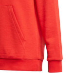 Dětská mikina Essentials Big Logo Hoodie Jr GN4037 - Adidas 122cm