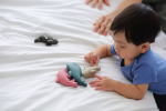PlanToys PlanToys Set - Mořská zvířata
