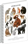 NOTIQUE Animalium – Primáti / Spirálový blok / A4 / čtverečkovaný