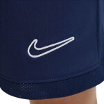 Šortky Nike Dri Fit Academy 25 Jr FZ9784 410 s