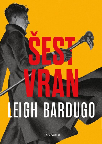 Šest vran - Leigh Bardugová