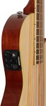ESP LTD TL-5 NAT