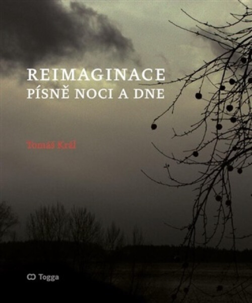 Reimaginace - Tomáš Král