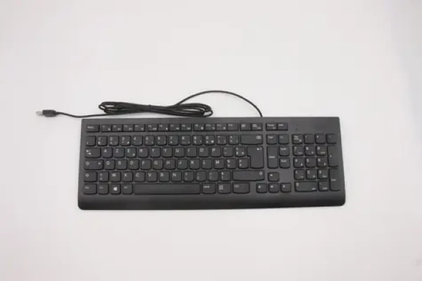 Lenovo Keyboard USB KB BK černá / Drátová klávesnice / USB / FR (00XH598)