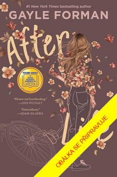 Život po životě - Gayle Forman