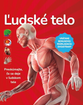 Ľudské telo - Justyna Mazurek