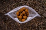 Chytil Master Carp Boilies 20mm 250g - Carp Killer,Chytil Master Carp Boilies 20mm 250g - Carp Killer