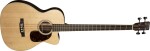 Martin BC16E