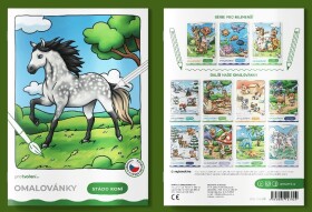 Pro tvoření Omalovánky A5 DELUXE Stádo koní