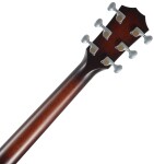 Taylor Builder's Edition 514ce Natural top