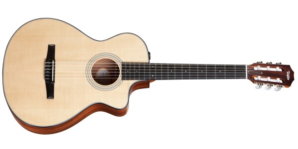 Taylor 312ce-N