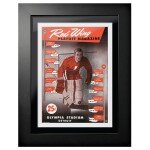 Mustang Obraz v rámu Detroit Red Wings NHL Program Cover Red Wing Magazine Playoff Edition