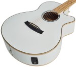 Tanglewood TW4 CE BLW