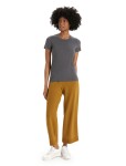 Dámské triko krátký rukáv ICEBREAKER Wmns Central Classic SS Tee, Monsoon velikost: S
