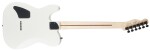 Fender Jim Root Telecaster EB FW