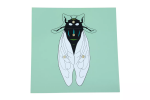 Moyo Montessori Moyo Montessori Puzzle - moucha