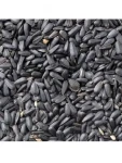 AnimALL Slunečnice černá 800 g (17077)
