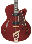 D'Angelico Excel 59 Viola