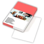 Armor Harmony M10531 / Fotopapír / Matný / 10x15 cm / 180 g/m2 / 20 listů (M10531)