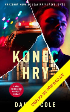 Konec hry, 3. vydání - Daniel Cole