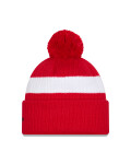 Pánská zimní čepice Detroit Red Wings NHL New Era Cold Winter