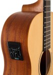 Tanglewood TR8 E