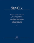 Výměny poloh a průprava ke cvičení stupnic op. 8 - Otakar Ševčík