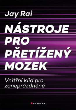 Nástroje pro přetížený mozek - Vnitřní klid pro zaneprázdněné - Jay Rai