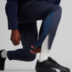 Puma Team Goal Training M kalhoty 658639 06 L