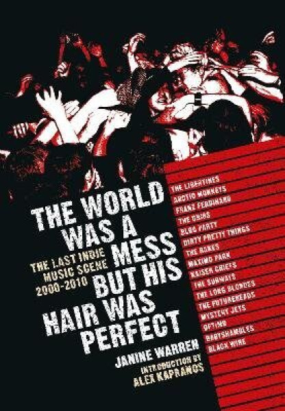 World Was a Mess But His Hair Was Perfect - Janine Warren