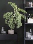 Ferm Living Stojan na květiny Plant Box Black, černá barva, kov
