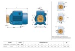 Pedrollo PV 55 400V