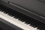 Gewa CP510 black