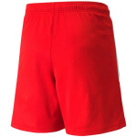 Šortky Puma teamLIGA Jr 704931 01 140 cm