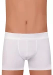 Pánské boxerky Fabio Royal 15/1-19/2+2