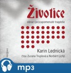 Životice: obraz (po)zapomenuté tragédie Karin Lednická