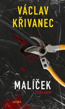 Malíček