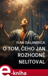 O tom, čeho Jan rozhodně nelitoval - Ivan Galambica e-kniha