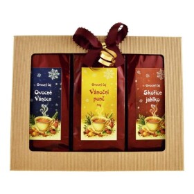Dárkový balíček Zimní šálek se sypaným čajem 3x50g