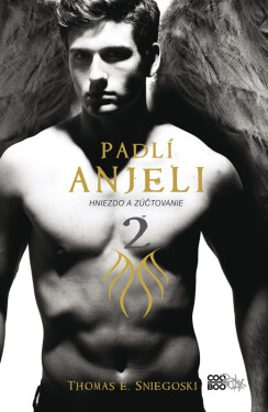 Padlí anjeli 2 - Thomas Sniegoski