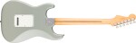 Fender Player II Stratocaster RW CGR