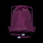 Bagmaster SÁČEK LUMI 26 A školní na přezůvky / tělocvik – pejsek