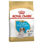 Royal Canin Kavalír King Charles