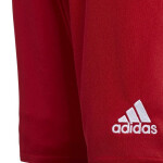 Pánské fotbalové šortky 16 SHORT Adidas