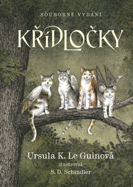 Křídločky