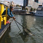 Zeck Podběrák Folding Rubber Net XL,Zeck Podběrák Folding Rubber Net XL