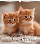 Nástěnný kalendář 2025 Cats