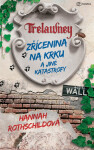 Zřícenina na krku a jiné katastrofy - Hannah Rothschildová