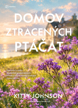 Domov ztracených ptáčat - Kitty Johnson